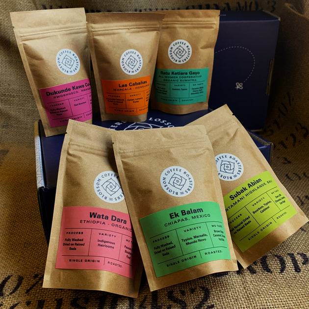 http://blossomcoffeeroasters.com/cdn/shop/products/IMG-6112_1200x630.jpg?v=1667255018