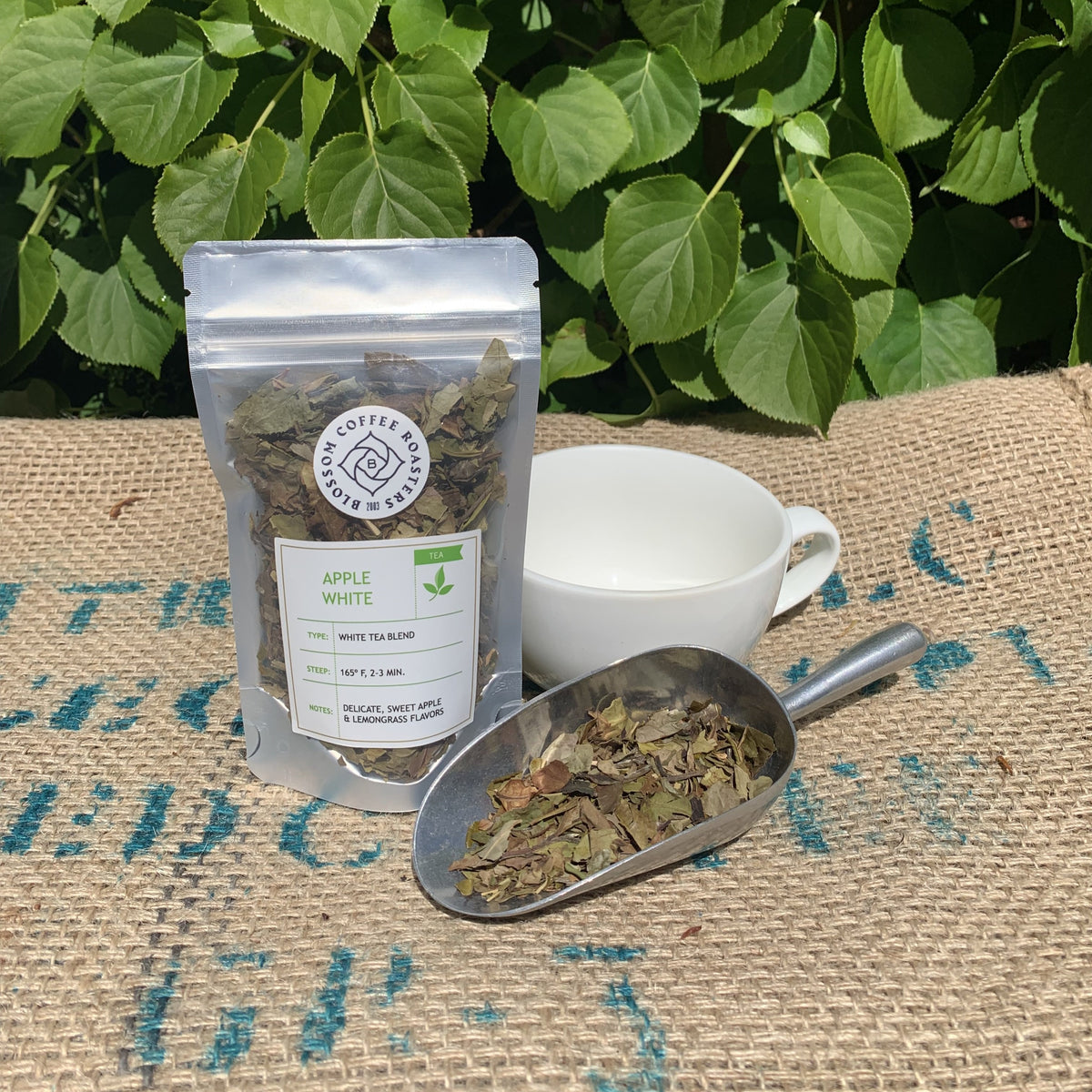 IMG_3912_1200x1200.jpg?v=