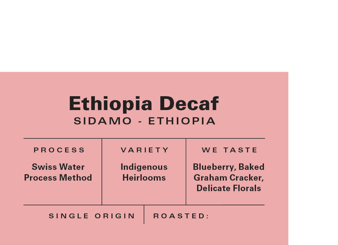 Decaf Ethiopia - Swiss Water Processed – Blossom Coffee Roasters