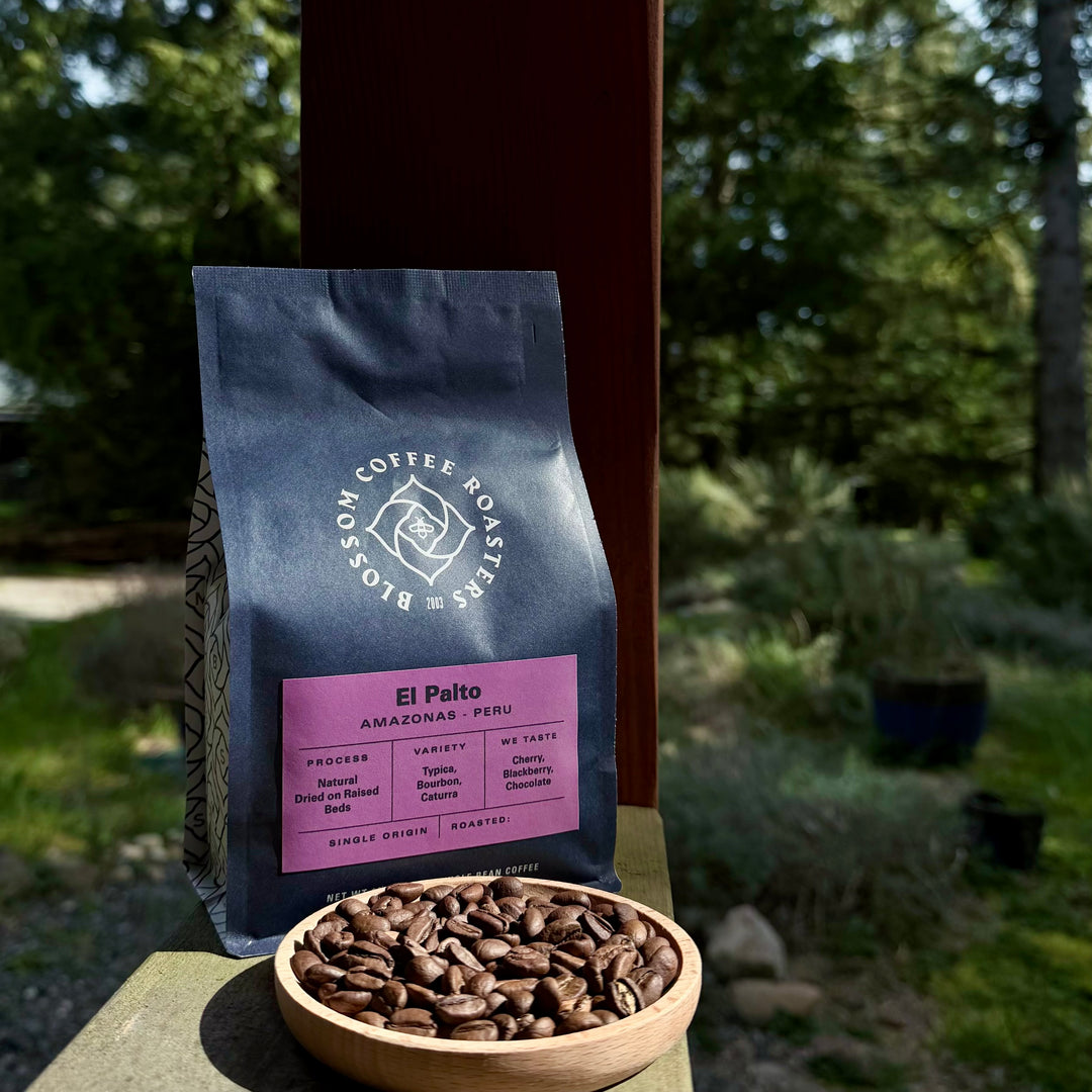 Blossom Coffee Roasters